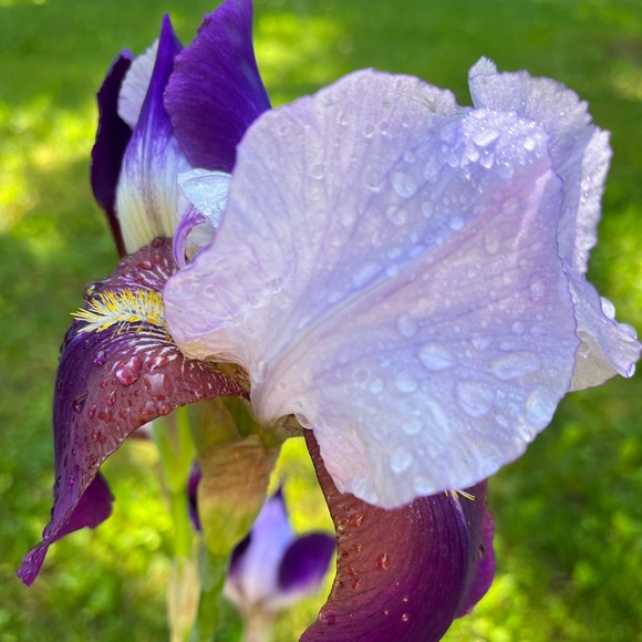 Meet your Posher, Michelle - Picture 10 of 10